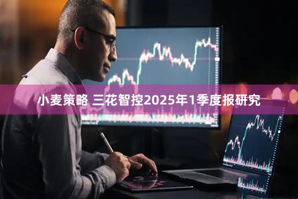 小麦策略 三花智控2025年1季度报研究
