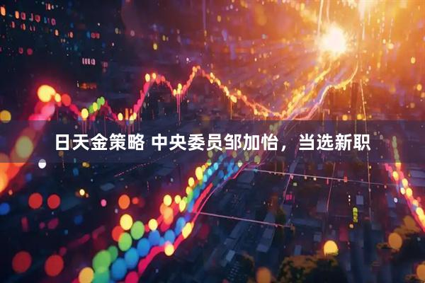 日天金策略 中央委员邹加怡，当选新职