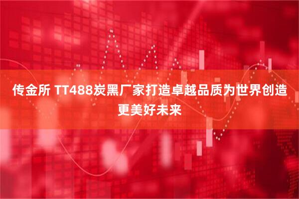 传金所 TT488炭黑厂家打造卓越品质为世界创造更美好未来