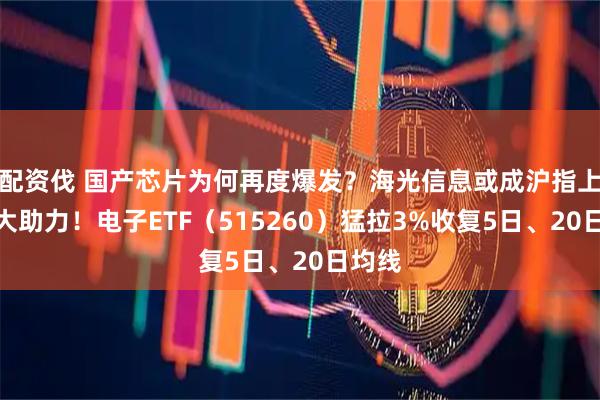 配资伐 国产芯片为何再度爆发？海光信息或成沪指上涨最大助力！电子ETF（515260）猛拉3%收复5日、20日均线