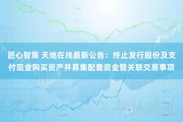 匠心智策 天地在线最新公告：终止发行股份及支付现金购买资产并募集配套资金暨关联交易事项