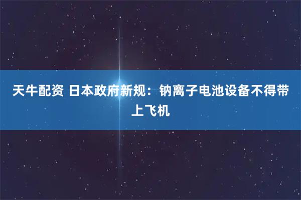 天牛配资 日本政府新规：钠离子电池设备不得带上飞机